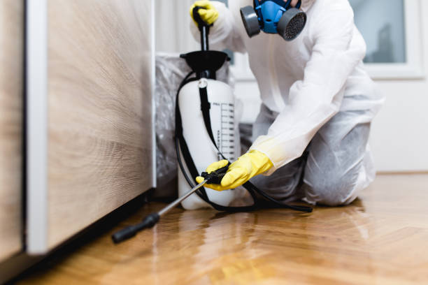 Best Local Pest Control Services  in Punta Rassa, FL