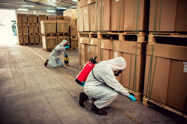 Best Bed Bug Extermination  in Punta Rassa, FL