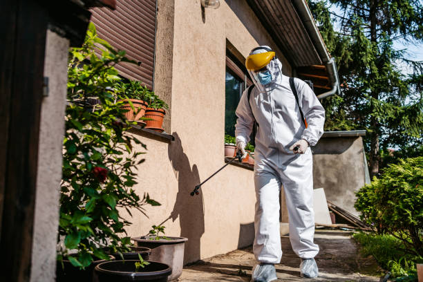 Best Best Pest Control Companies  in Punta Rassa, FL