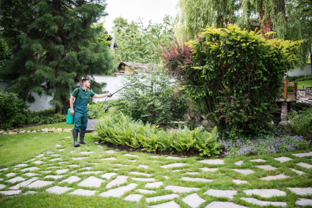 Best Affordable Pest Control Services  in Punta Rassa, FL