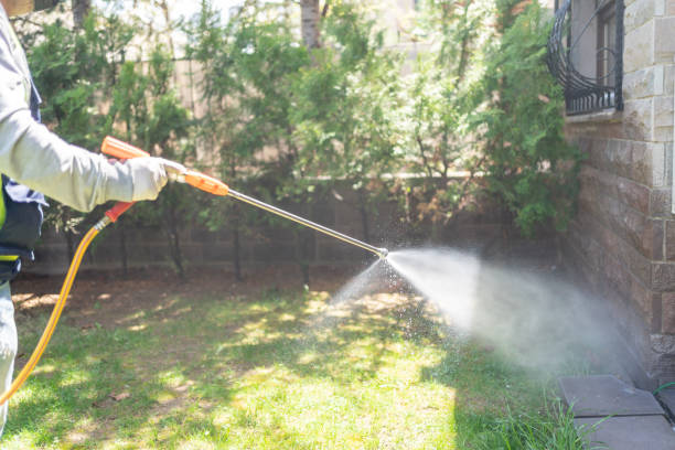 Best Pest Control for Homes  in Punta Rassa, FL